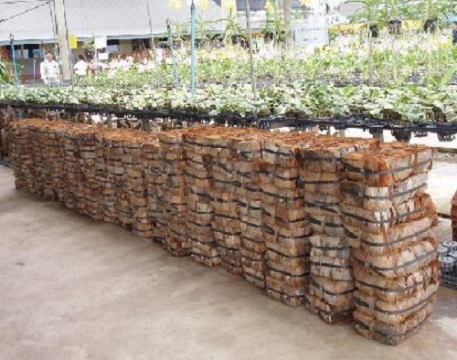 Xơ dừa trồng hoa lan - Công Ty TNHH Cocogreen